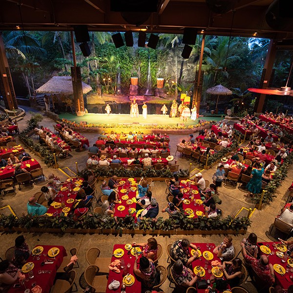 a store filled with lots of colorful flowers