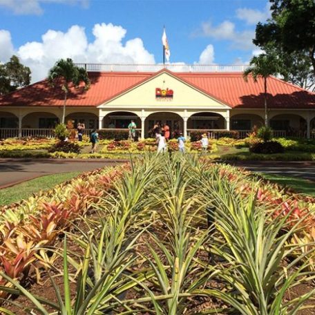 a close up of a flower garden in front of a building