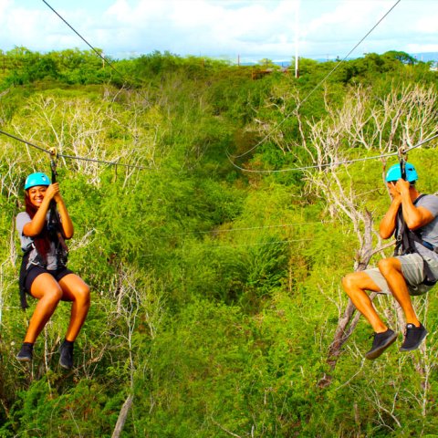 couple on zipline race