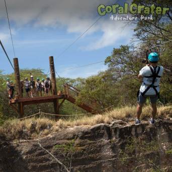 a person riding a horse in a field