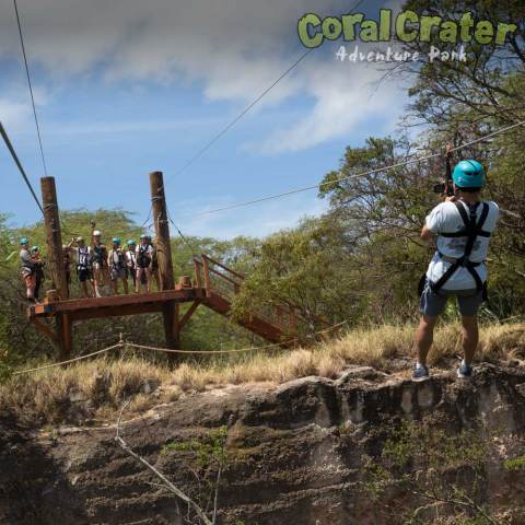 a person riding a horse in a field