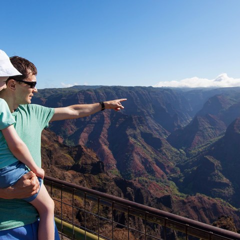 Father and Son at Waimea Canyon
