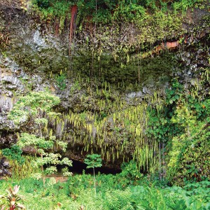 Fern Grotto Kauai