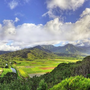 Hanalei Valley