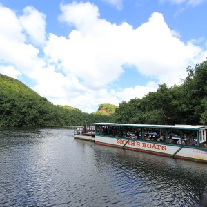 Wailua River Boat