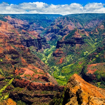 Waimea Canyon Square