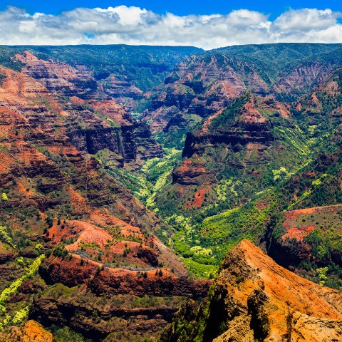 Waimea Canyon Square