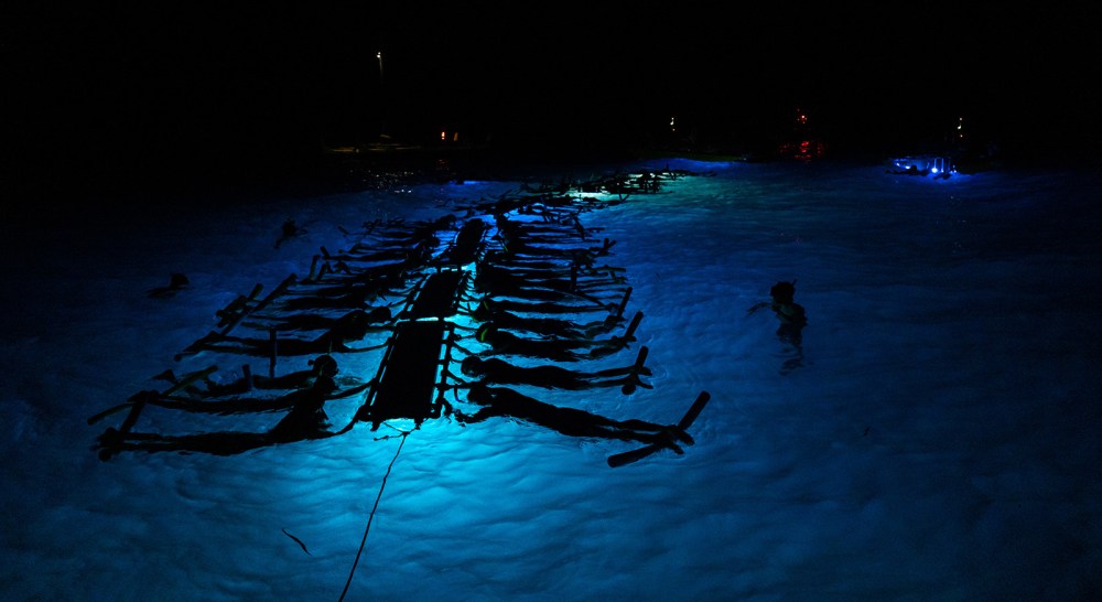 evening manta snorkel tour