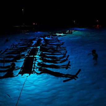 evening manta snorkel tour