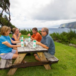kohala waterfall adventure lunch
