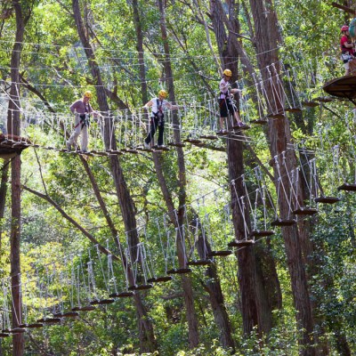 kohala sky bridge