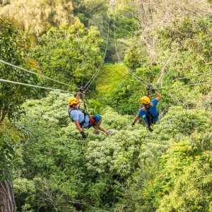 Kohala Zipline