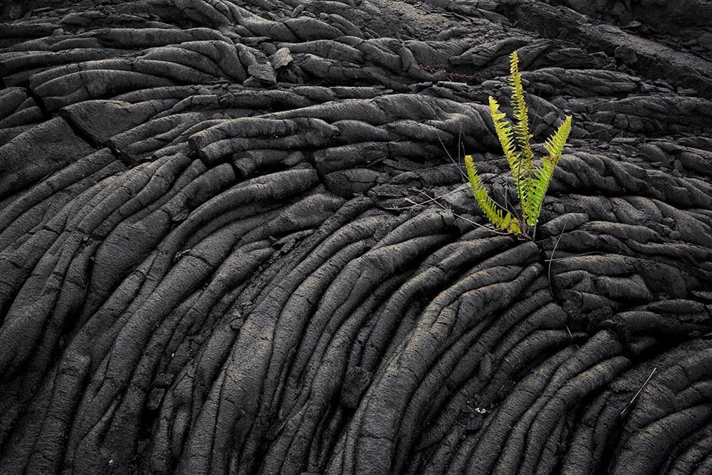Exciting Activities and Tours on the Big Island of Hawaii – from Hilo
