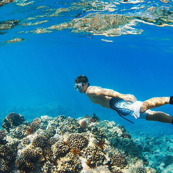 man snorkeling in Kona