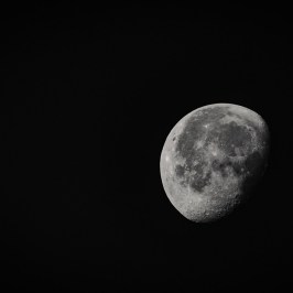 stargazing moon