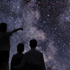 stargazing with silhouettes