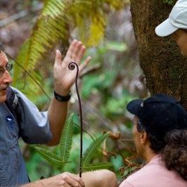 tour guide with fern and people