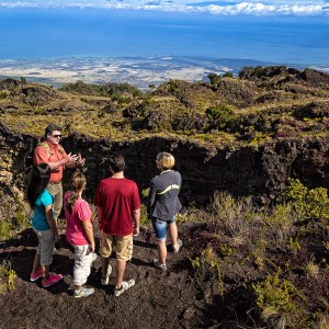 tour guide with guests