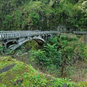 PolyAd - Bridge to Hana