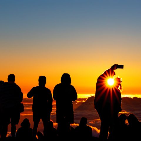 PolyAd - Haleakala group camera
