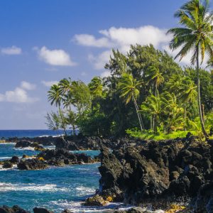 PolyAd - Hana Coastline