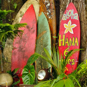 PolyAd - Hana Surfboards