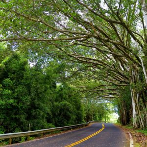 PolyAd - Hana Winding Road