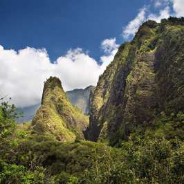 PolyAd - Iao Needle