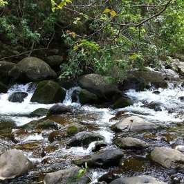 PolyAd - Iao Valley stream