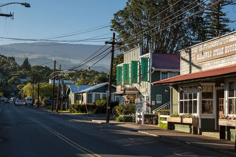 Like Poke food truck Maui