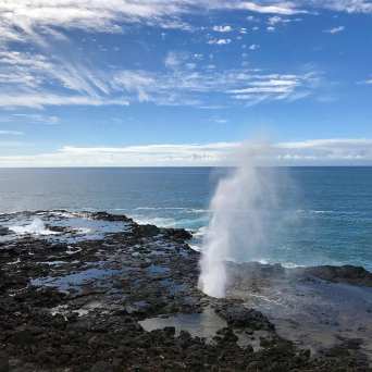 PolyAd - Spouting Horn alternate view