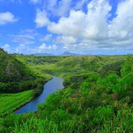 PolyAd - Wailua River section