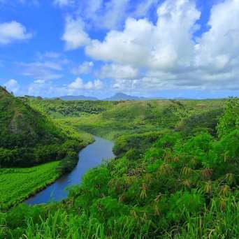 PolyAd - Wailua River section