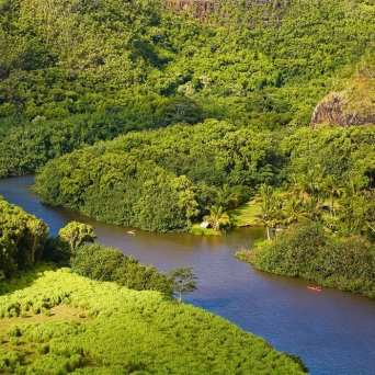 PolyAd - Wailua River