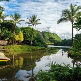 PolyAd - Wailua Riverbank