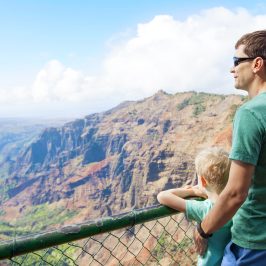PolyAd - Waimea Canyon Father and Son