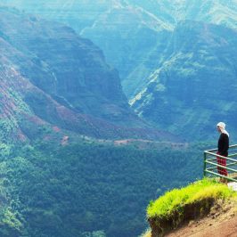 PolyAd - Waimea Canyon Lookout and man