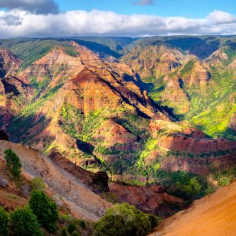 PolyAd - Waimea Canyon afternoon