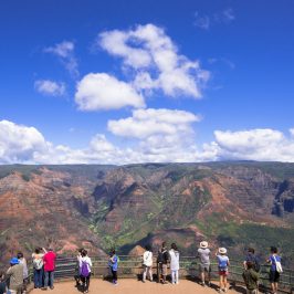 PolyAd - Waimea Canyon group