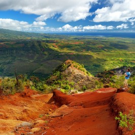 PolyAd - Waimea Valley and man