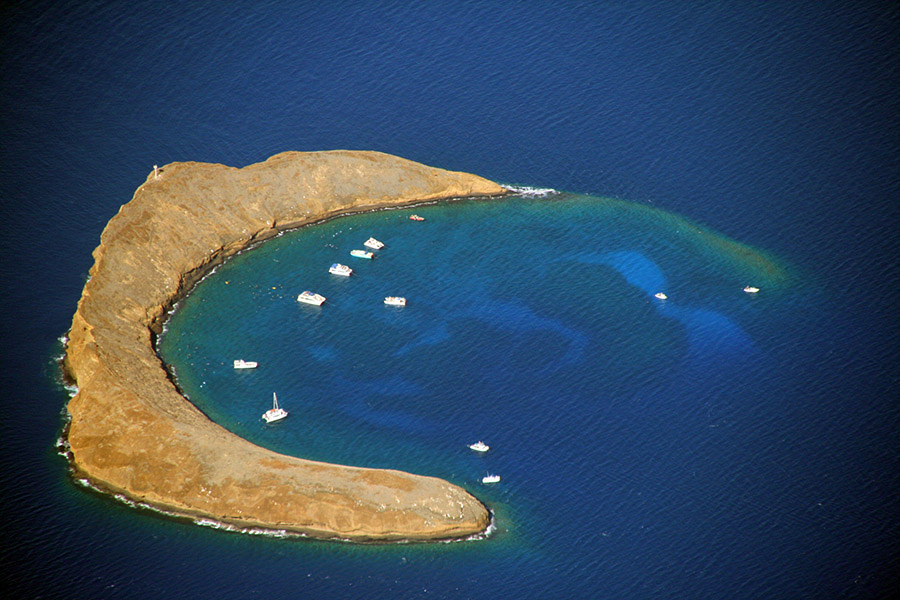 molokini snorkeling site