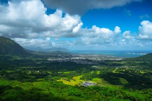 pali lookout