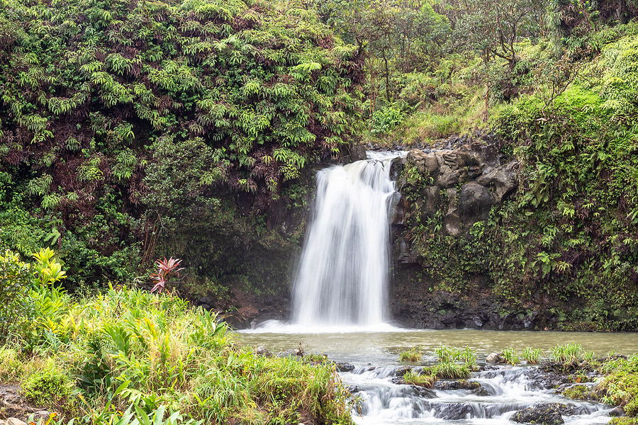 Pua'a Ka'a State Park and Falls