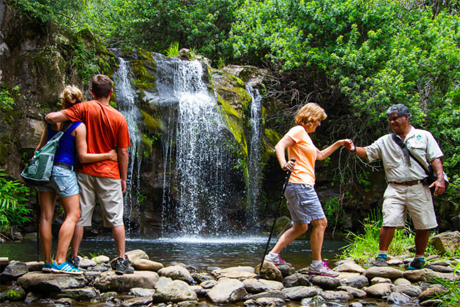 big island eco tours