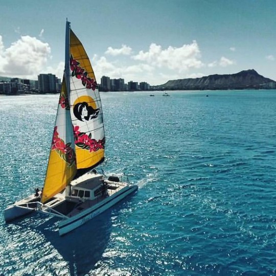 honu olani waikiki diamond head