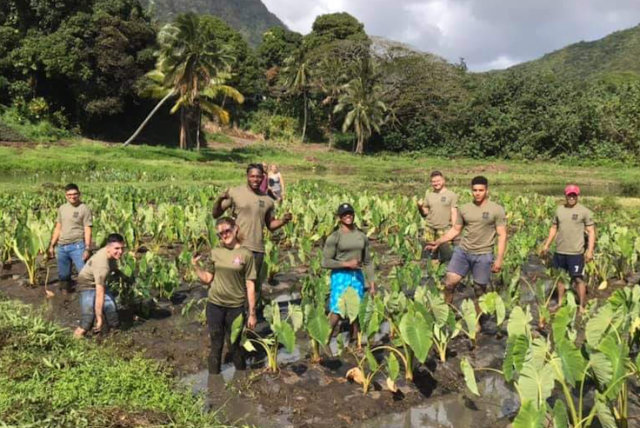 Kualoa Malama Aina