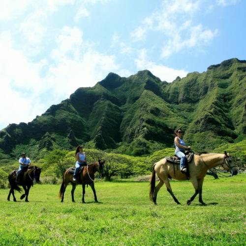 kualoa horseback activity