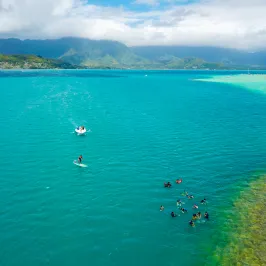 a group of people swimming in a body of water