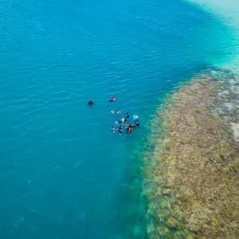 a group of people swimming in a body of water