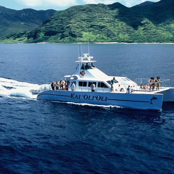 ocean joy cruises - cruising boat